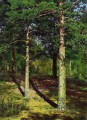 el sol iluminado pinos 1886 paisaje clásico Ivan Ivanovich